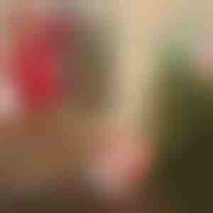 Babbo Natale sa padobranom | SANTASWING