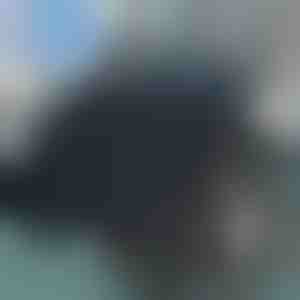 Rotirajuči jastuk za sedišta | SPINPAD