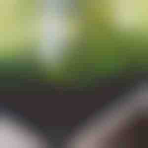 Podignuta Vrtna Gredica od Tkanine | FLORAISE