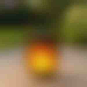 Solarne lampe sa efektom plamena u pokretu | FLAMLUX